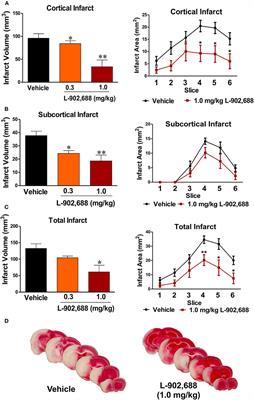 Protective Effects of L-902,688, a Prostanoid EP4 Receptor Agonist, against Acute Blood-Brain Barrier Damage in Experimental Ischemic Stroke